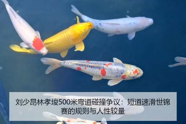 刘少昂林孝埈500米弯道碰撞争议：短道速滑世锦赛的规则与人性较量